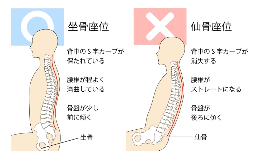 正しい座り方
